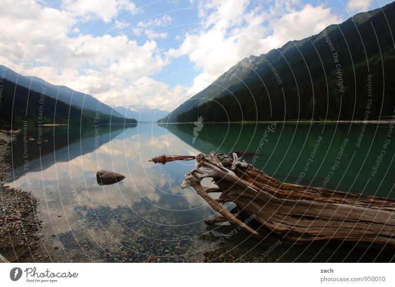 with vanishing point Vacation & Travel Far-off places Landscape Water Sky Clouds Summer Beautiful weather Tree Hill Mountain Coast Lakeside Duffey Lake Canada