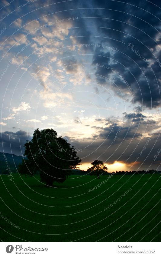 Rain is comming over us Clouds Sunbeam Meadow Tree Eternity Dark Gray Black Green White Nature Sky Bright Blue Earth Landscape