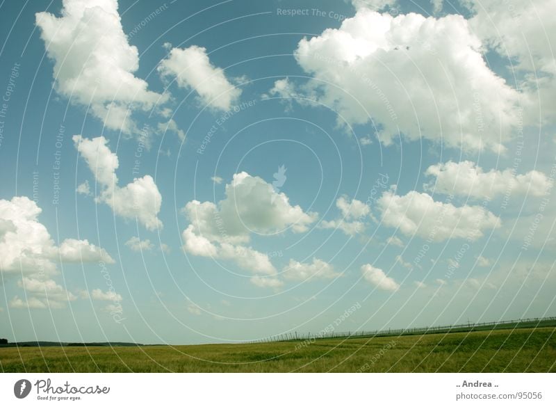 Wide world Landscape Sky Clouds Grass Absorbent cotton Soft Blue Green White Light blue Sky blue Windows XP windows vista wallpapers Colour photo