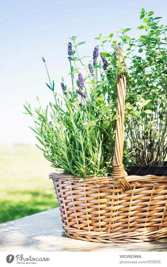 Lavender basket on garden table Lifestyle Style Design Spa Summer Garden Nature Plant Spring Foliage plant Bouquet Background picture Provence Aromatic Basket