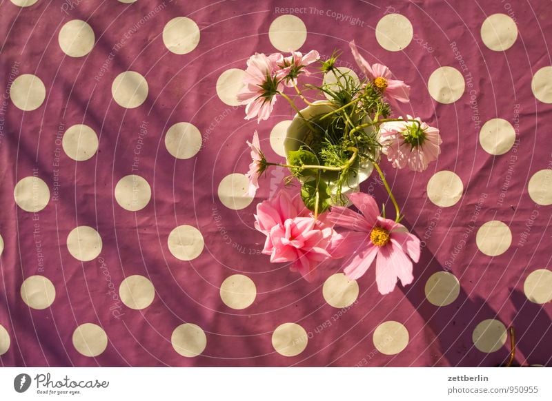 dots vs. flowers Table Tablecloth Design Pattern Point Flower Flower vase Vase Bird's-eye view Blossom Decoration Copy Space Tilt Violet Blossom leave Bouquet