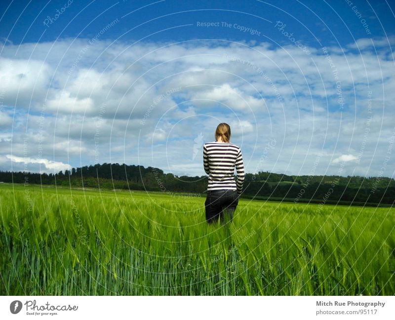 born to be FREE 2 Longing Miss Emotions Spring Calm Grass Clouds Infinity Frictionless Thought Freedom Stripe Horizon Green Field Grief Beautiful Meadow Nature