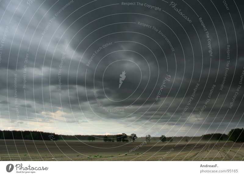 summer Field Cornfield Gale Hurricane Storm Storm warning Meteorological service Clouds Weather Summer Wind Thunder and lightning Americas Landscape Maize Rain