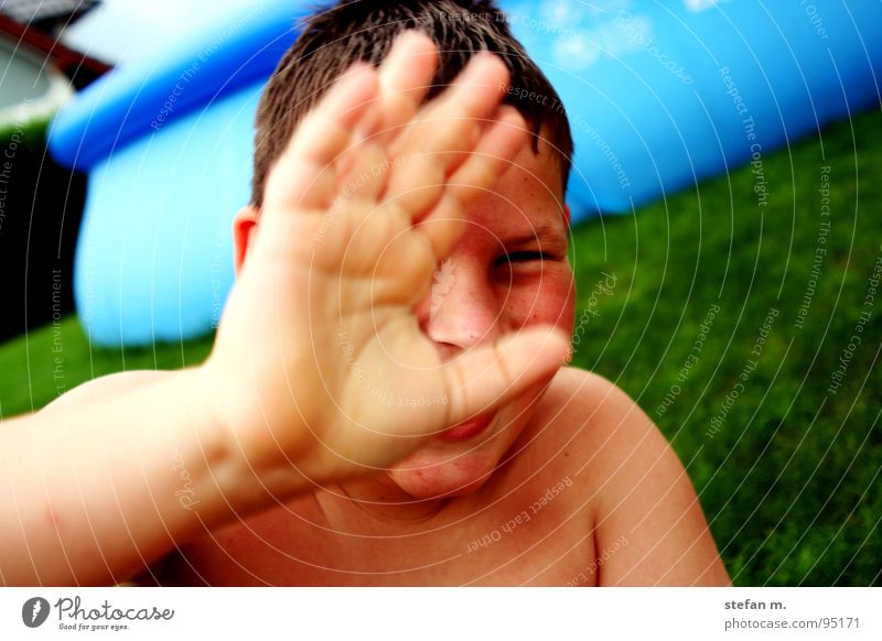 POOL boy Swimming pool Meadow Summer Green Hand Wet Beautiful Blue pool boy pool house Garden Sun yard backyard hide Skin Weather protection suntanic Water