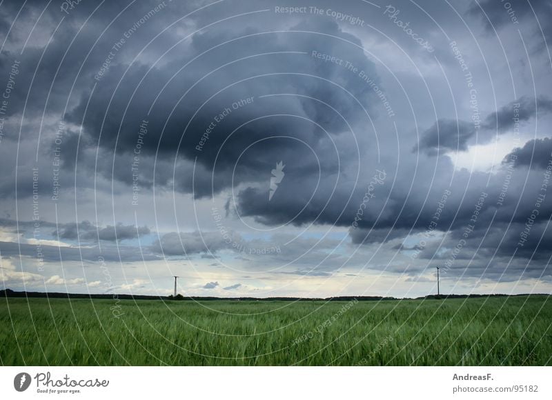 Summer? Field Cornfield Gale Hurricane Storm Storm warning Meteorological service Clouds Weather Wind Sky Thunder and lightning Americas Landscape Maize Rain