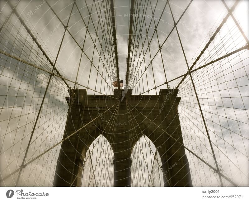 stability New York City USA Americas Bridge Manmade structures Tourist Attraction Brooklyn Bridge To hold on Esthetic Exceptional Famousness Dark Gigantic Trust