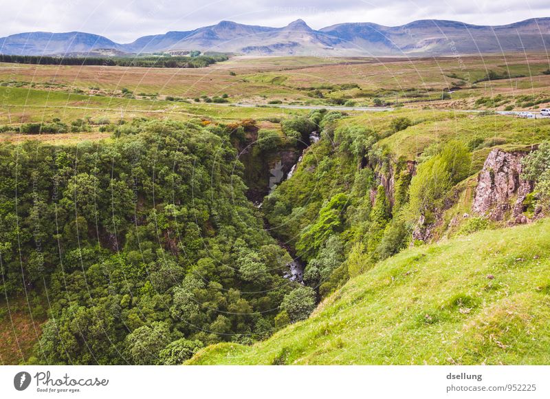 welcome to the jungle Environment Nature Landscape Elements Earth Sky Meadow Forest Virgin forest Hill Rock Mountain Exceptional Far-off places Free