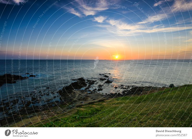 Salvador de Bahia Vacation & Travel Far-off places Summer vacation Sunbathing Nature Landscape Water Sky Clouds Horizon Beautiful weather Grass Waves Coast Bay