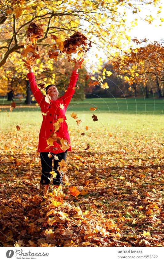 AK# Autumn joy Art Esthetic Contentment Joy Comical Autumnal Autumn leaves Autumnal colours Early fall Autumnal weather Automn wood Autumnal landscape