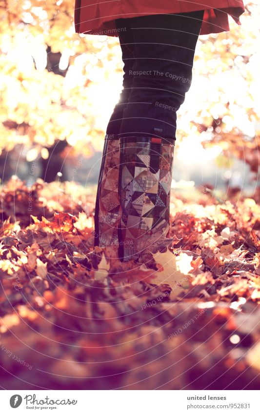 AK# tree frog Art Environment Nature Landscape Plant Esthetic Contentment Fashion Stand Red Coat Pants Leaf Deciduous tree Tree frog Autumnal Autumn leaves