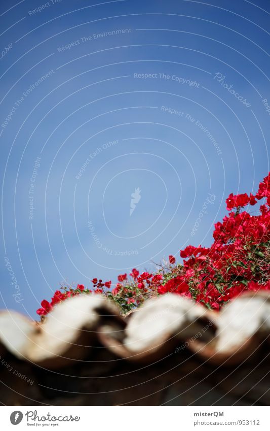 Roof red. Village Esthetic Red Roofing tile Attic story Mediterranean Flower Blue sky Blossoming Spain Canaries Colour photo Multicoloured Exterior shot Detail