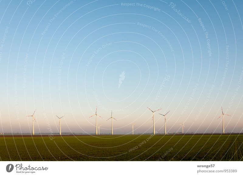 wind farm Advancement Future Energy industry Renewable energy Wind energy plant Environment Landscape Sky Horizon Beautiful weather Edge Gigantic Blue Green