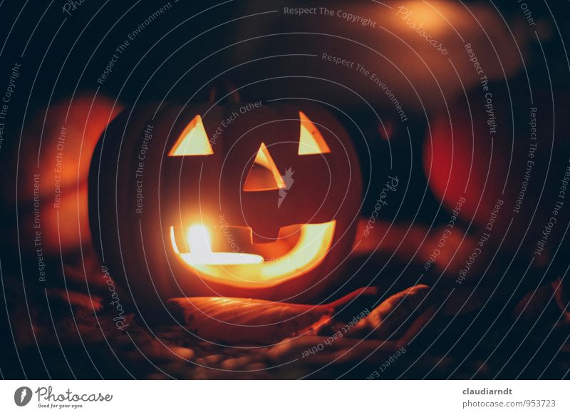 pumpkin Hallowe'en Autumn Illuminate Pumpkin Tea warmer candle Candle Lampion Mask Creepy Head Colour photo Exterior shot Detail Deserted Night Light