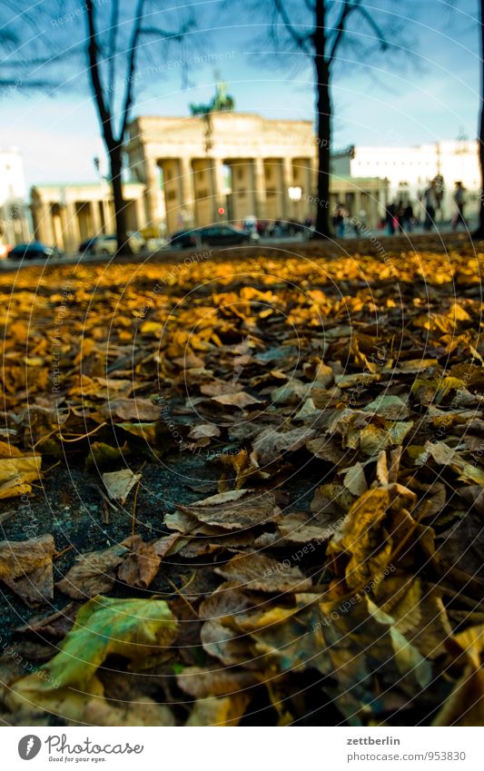 Brandenburg Gate, Second Flush Berlin Capital city Seat of government Government Palace Reichstag Landmark wallroth Autumn Autumn leaves Copy Space Earth Limp