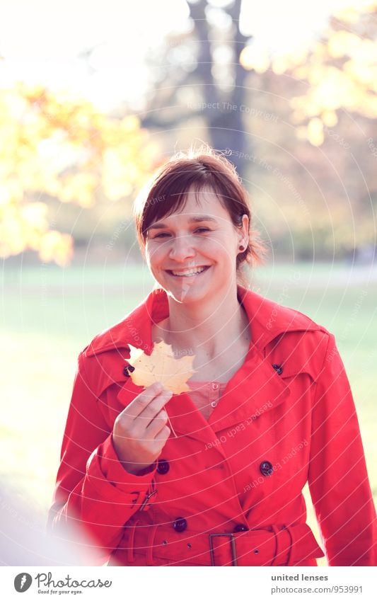 AK# Walk In The Park Art Esthetic Contentment Autumnal Autumn leaves Autumnal colours Early fall Autumnal weather Automn wood Autumnal landscape Autumn wind