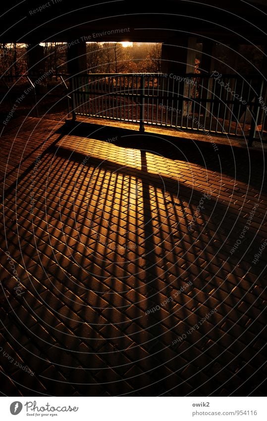 under the bridge Bridge motorway bridge Footpath Bridge railing Paving stone Cobbled pathway Illuminate Firm Glittering Large Yellow Orange Red Black Calm Idyll