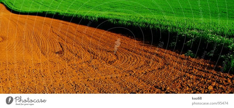 field Field Green Brown Agriculture Wheat Red Border Background picture Agra Raw materials and fuels Environment Work and employment Lanes & trails Tracks Earth