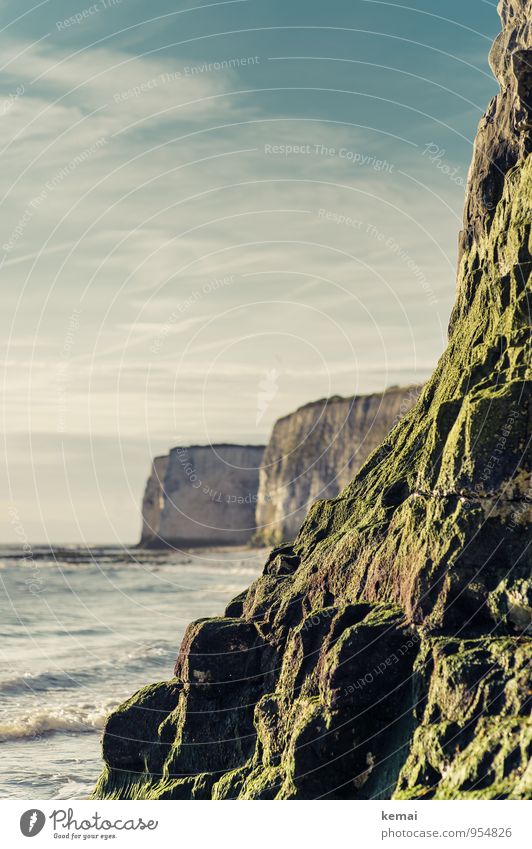 cliffs Summer Summer vacation Ocean Waves Environment Nature Landscape Sky Clouds Sunlight Beautiful weather Moss Hill Rock Coast England Kent Cliff Fresh Green