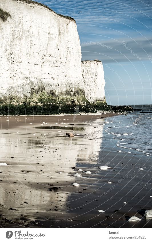 white cliffs Vacation & Travel Tourism Trip Adventure Freedom Summer Beach England Kent Environment Nature Landscape Water Sky Clouds Sunrise Sunset Sunlight