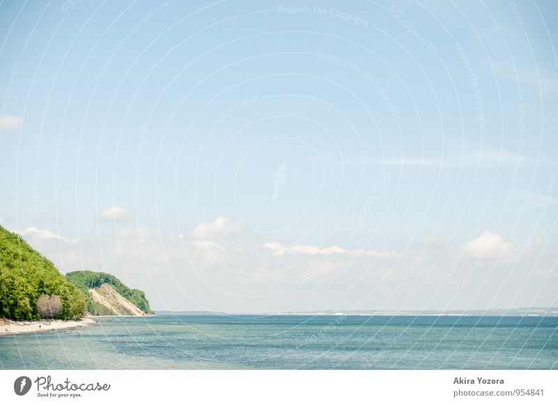 A day at the sea Nature Landscape Water Sky Clouds Summer Beautiful weather Tree Forest Rock Coast Baltic Sea Swimming & Bathing Relaxation Blue Yellow Green