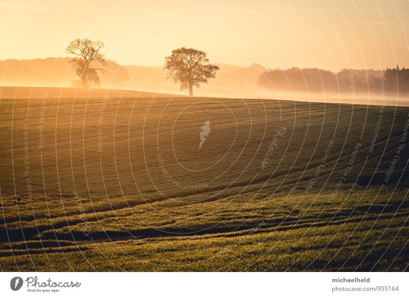 To the mountains in the morning ... Environment Nature Landscape Sunrise Sunset Sunlight Autumn Tree Grass Field eastern hill country Hope Belief Humble Grief