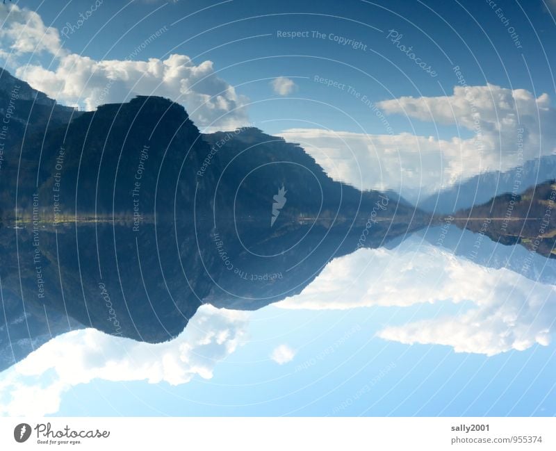 The lake rests still... Nature Landscape Sky Clouds Spring Beautiful weather Forest Alps Mountain Lakeside Exceptional Fantastic Blue Happy Loneliness