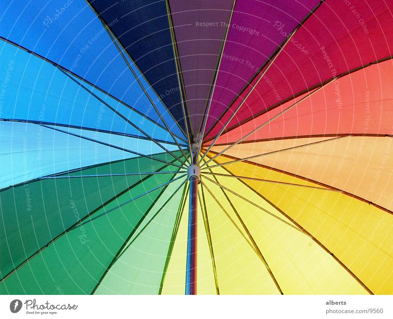 Umbrella Sun Weather Rain Living or residing Things Colour photo Multicoloured Exterior shot Detail Deserted Day Light