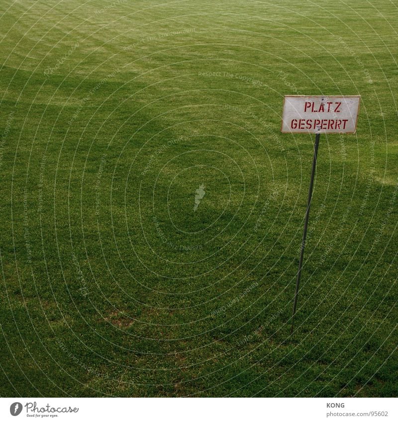 place closed Grass Sporting grounds Green Green space Cottbus Meadow Playing field Depth of field Sports Ball sports Lawn club training ground soccer top league