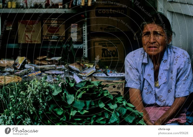 Herbs woman 2 Peru Lima Senior citizen Herbs and spices South America Americas Market trader Market stall Farmer Woman Vacation & Travel Work and employment