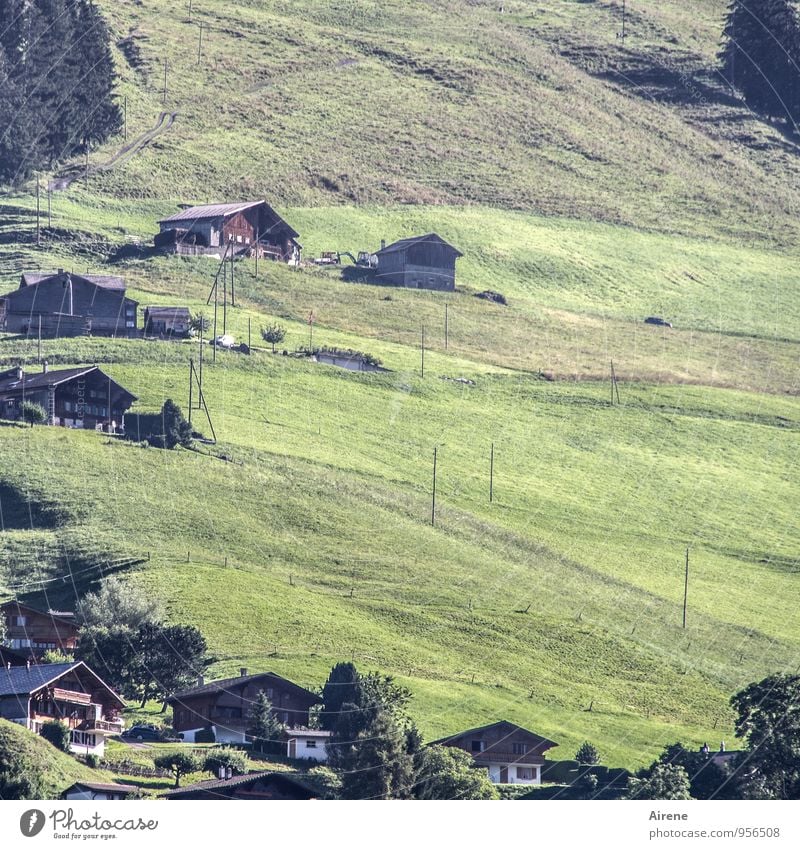 perimeter development Agriculture Forestry Landscape Meadow Hill Alps Slope chateau d'oex Switzerland Canton Waadt Village Deserted