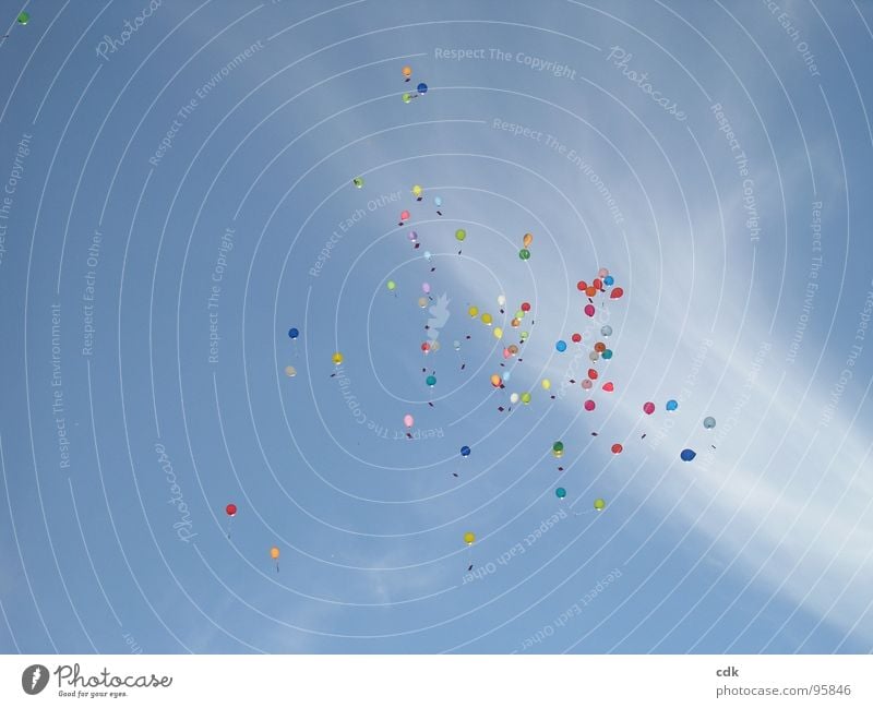 detached | balloons Balloon Multicoloured Infinity Go up Hover Release Detached Going Far-off places Desire Ritual Wedding ceremony Society Multiple Playing