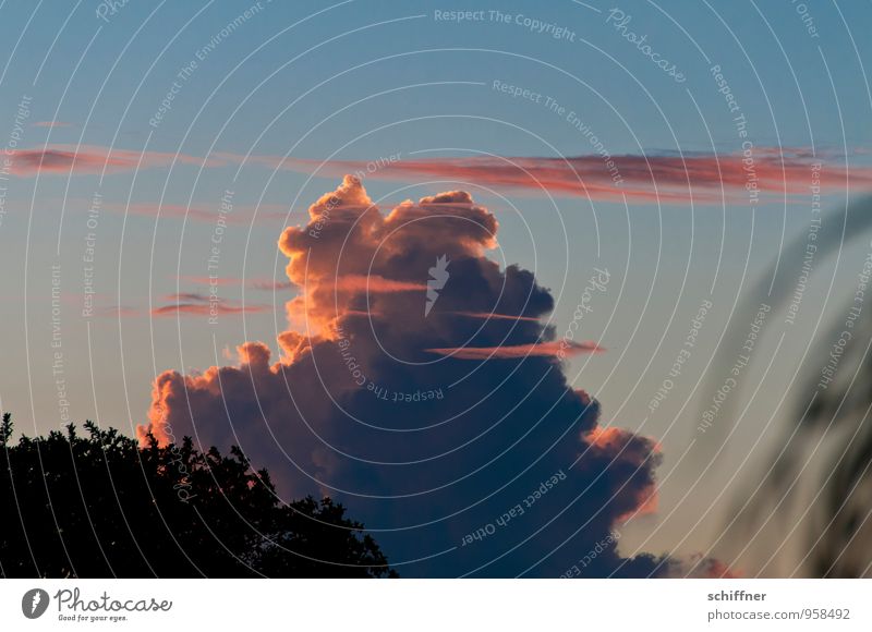 Cumulus Congestus for Girls Environment Sky Clouds Storm clouds Sunrise Sunset Climate Climate change Weather Beautiful weather Bad weather Exceptional Blue