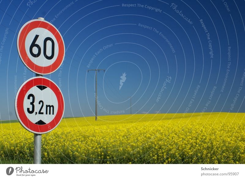 Rapeseed - Idyll Canola Field Transport Street sign Electricity Electricity pylon Meadow Yellow 3 Road sign Summer Spring Sky Limit Horizon Nature Landscape