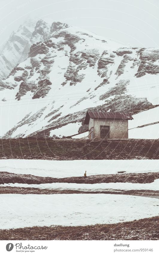 high up. Environment Nature Landscape Fog Snow Snowfall Meadow Alps Mountain Snowcapped peak South Tyrol House (Residential Structure) Hut Authentic Fresh Tall