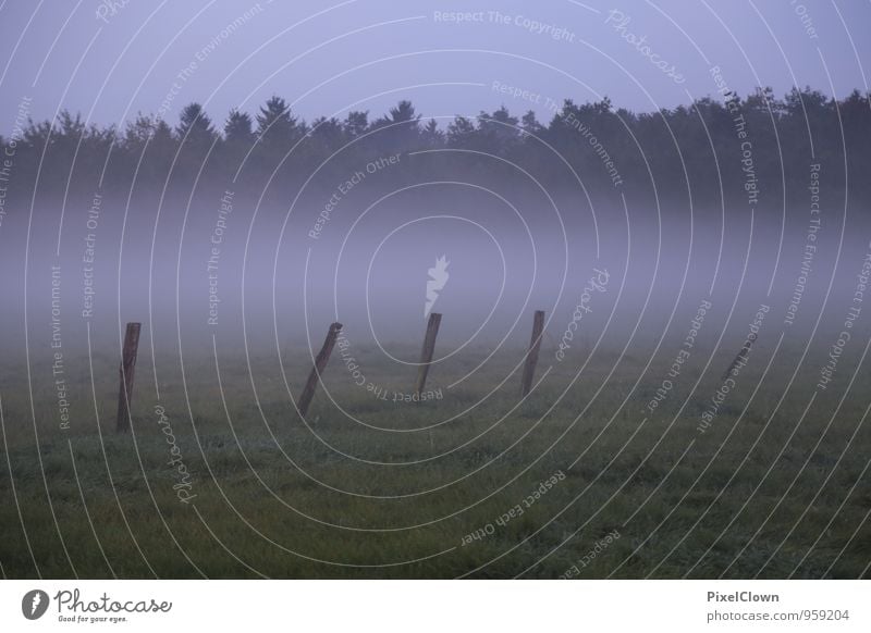 fog Calm Vacation & Travel Hiking Agriculture Forestry Nature Earth Fog Field Village Blue Gray Green Loneliness Moody Colour photo Subdued colour Twilight