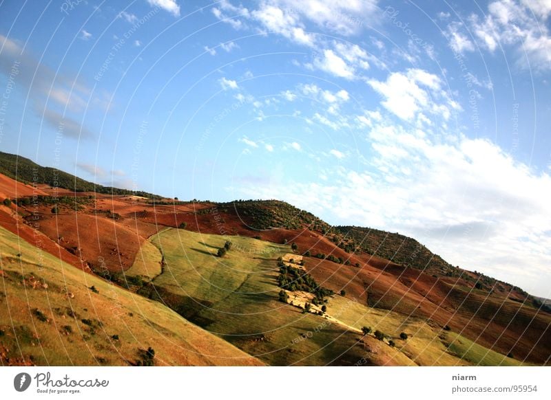 près de fès Grass Morocco Africa Midday sun Physics Clouds Tree Brown Dry Hot Downward High plain Mountain Arabien Arabia North Africa Casablanca Climate change