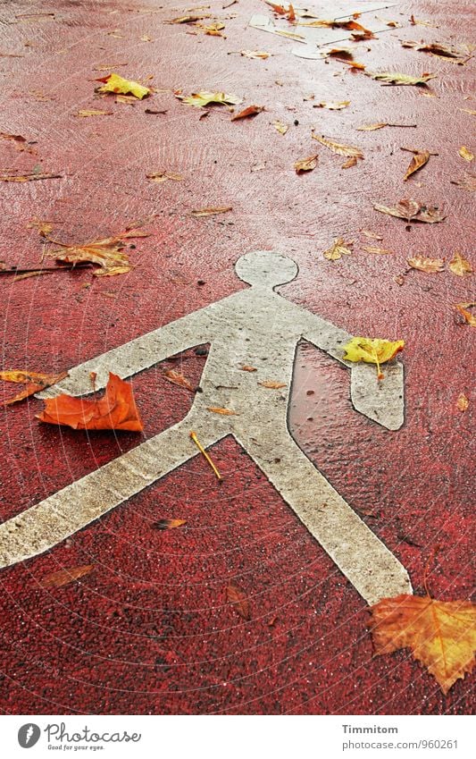 Live with leaves. Street Signs and labeling Lie Esthetic Simple Yellow Red White Emotions Warning label Pedestrian Colour photo Exterior shot Deserted Day