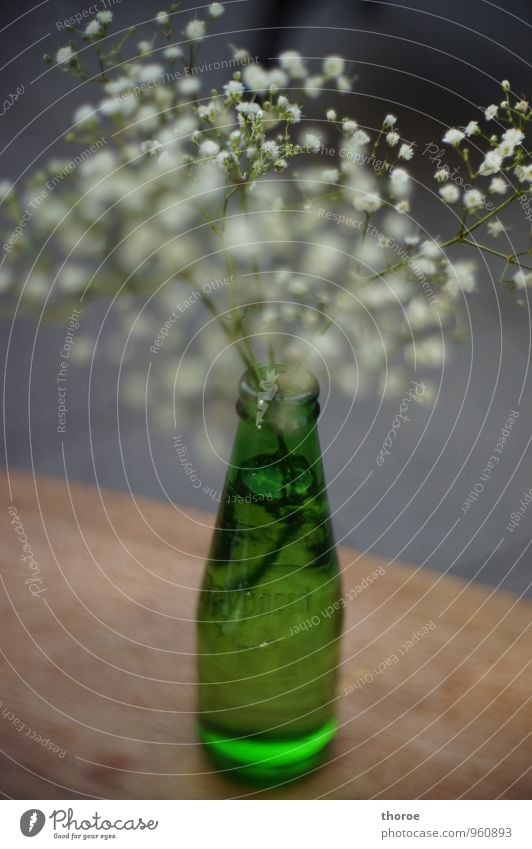 bottle green Bottle Vase Glass Green Wooden table Baby's-breath Foliage plant Decoration Blossom White Gray Moody Recycling Glass for recycling Colour photo