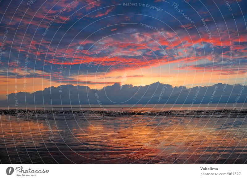 Evening at the mudflat Tourism Sun Ocean Landscape Air Water Sky Clouds Coast North Sea Blue Brown Multicoloured Yellow Gold Gray Orange Pink Red Romance Nature