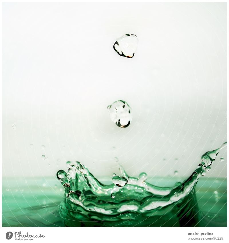 crowning Water Drops of water Wet Green Turquoise Inject Coronation Treetop Colour photo Close-up Detail