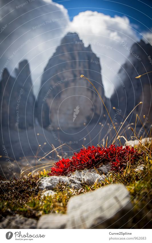 3 Peaks Nature Plant Animal Elements Sky Clouds Beautiful weather Rock Mountain Three peaks Authentic Stone Red Dolomites Tourist Attraction Grass Prongs