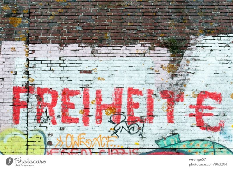 FREEDOM € Graffiti Wall (barrier) Wall (building) Characters Euro symbol Multicoloured Brick wall Letters (alphabet) Red Freedom Sprayed Dye Colour photo