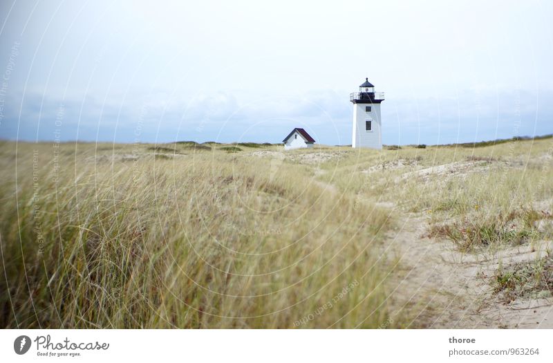 lighthouse Environment Nature Landscape Sand Sky Horizon Autumn Beautiful weather Coast Beach Ocean Atlantic Ocean Dune Marram grass Lanes & trails Provincetown