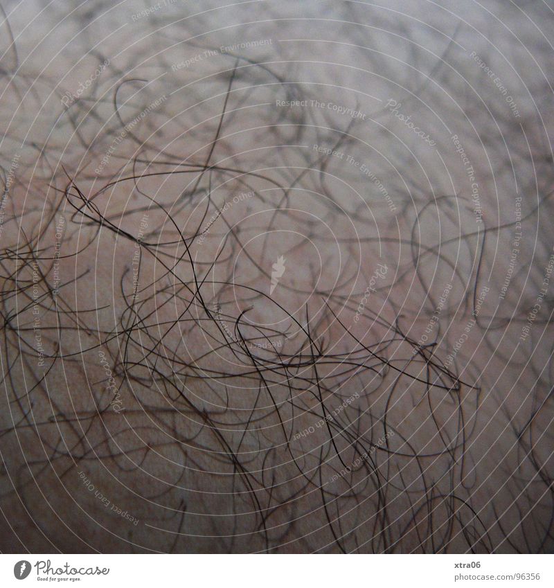 a hairy affair Black Shave Human being Skin Close-up hair growth