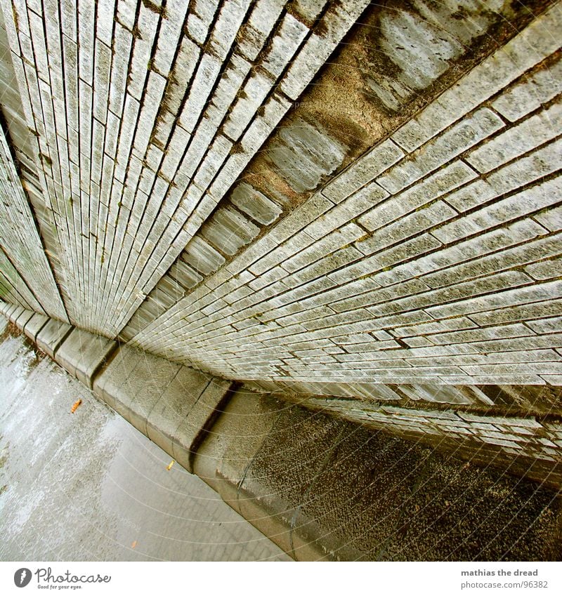 rainy weather Wall (building) Brick Massive Hard Cold Wet Damp Dirty Putrid Rainwater Puddle Reflection Parallel Corner Vanishing point Dark Line Deserted