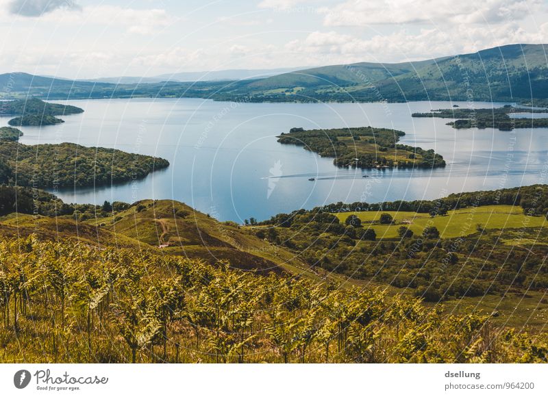 Down by the hole Environment Nature Landscape Water Sky Clouds Climate Beautiful weather Meadow Field Hill Coast Lakeside Loch Lomond Friendliness Healthy