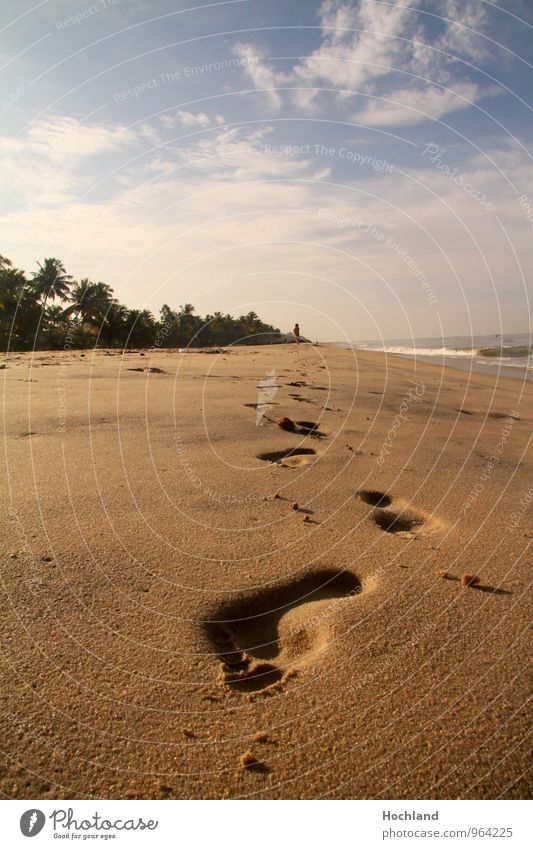 Traces in the sand on the beach Nature Landscape Sand Water Clouds Sunlight Beautiful weather Coast Beach Deserted Joy Serene Calm Longing Loneliness Freedom