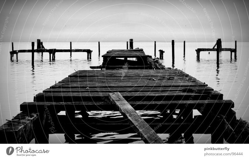 On the trail of transience II Lake Ocean Footbridge Jetty Coast Black White Fog Sea level Wood Broken Transience Water reflection Derelict Black & white photo