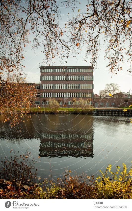 bauhaus. Elegant Style Design Office Economy Business Nature Landscape Water Autumn Beautiful weather Tree Bushes River bank Havel Town