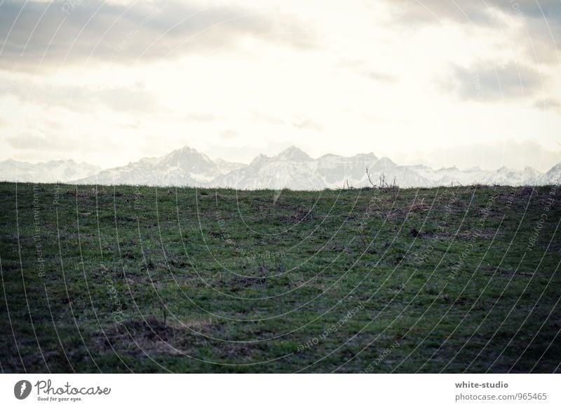 mountain portrait Climbing Mountaineering Surprise Alps Pre-alpes Vantage point Panorama (Format) Mountain range Snowcapped peak Hiking Summer Grass